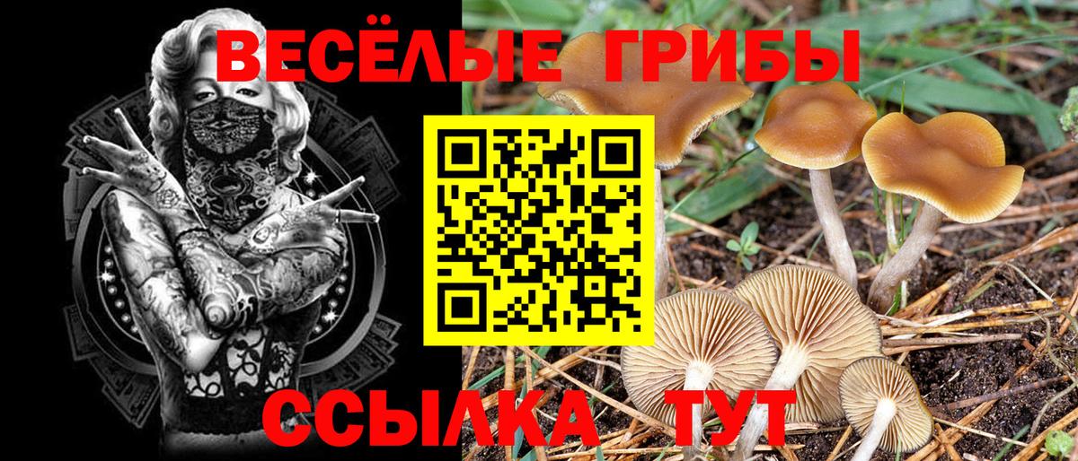 Псилоцибиновые грибы мицелий  Вход с VPN  Ноябрьск 